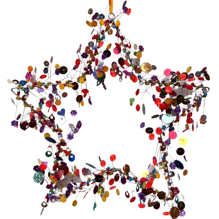 Pailletten Stern groß bunt