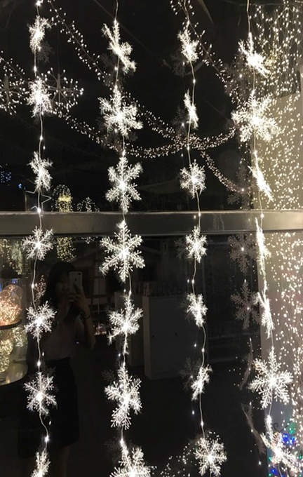 LED Vorhang Schneeflocke silber  B250H140