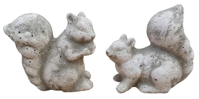 Eichhörnchen 2fach sort. creme