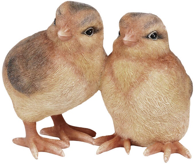 Küken steh./sitzend braun