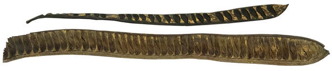 Schote Box (24 St.) gold antik