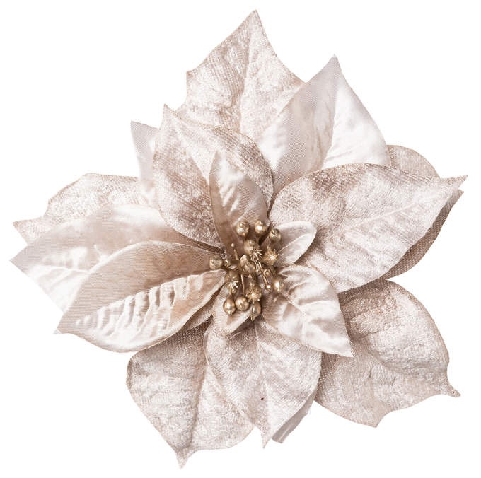 Poinsettienblüte m Clip grau